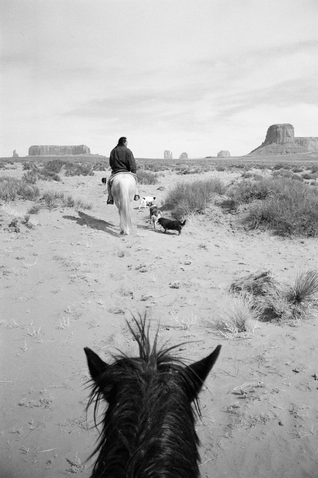 Beau and Trigger, Monument Valley