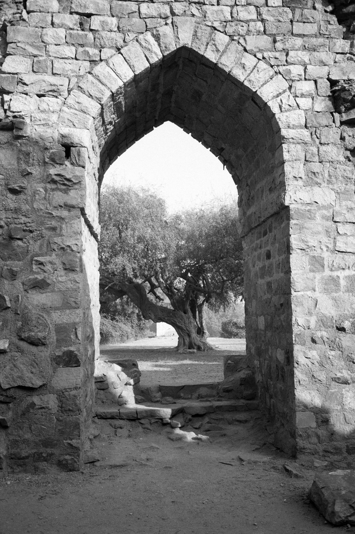 Tree through Arch, Qutab Minar, Delhi