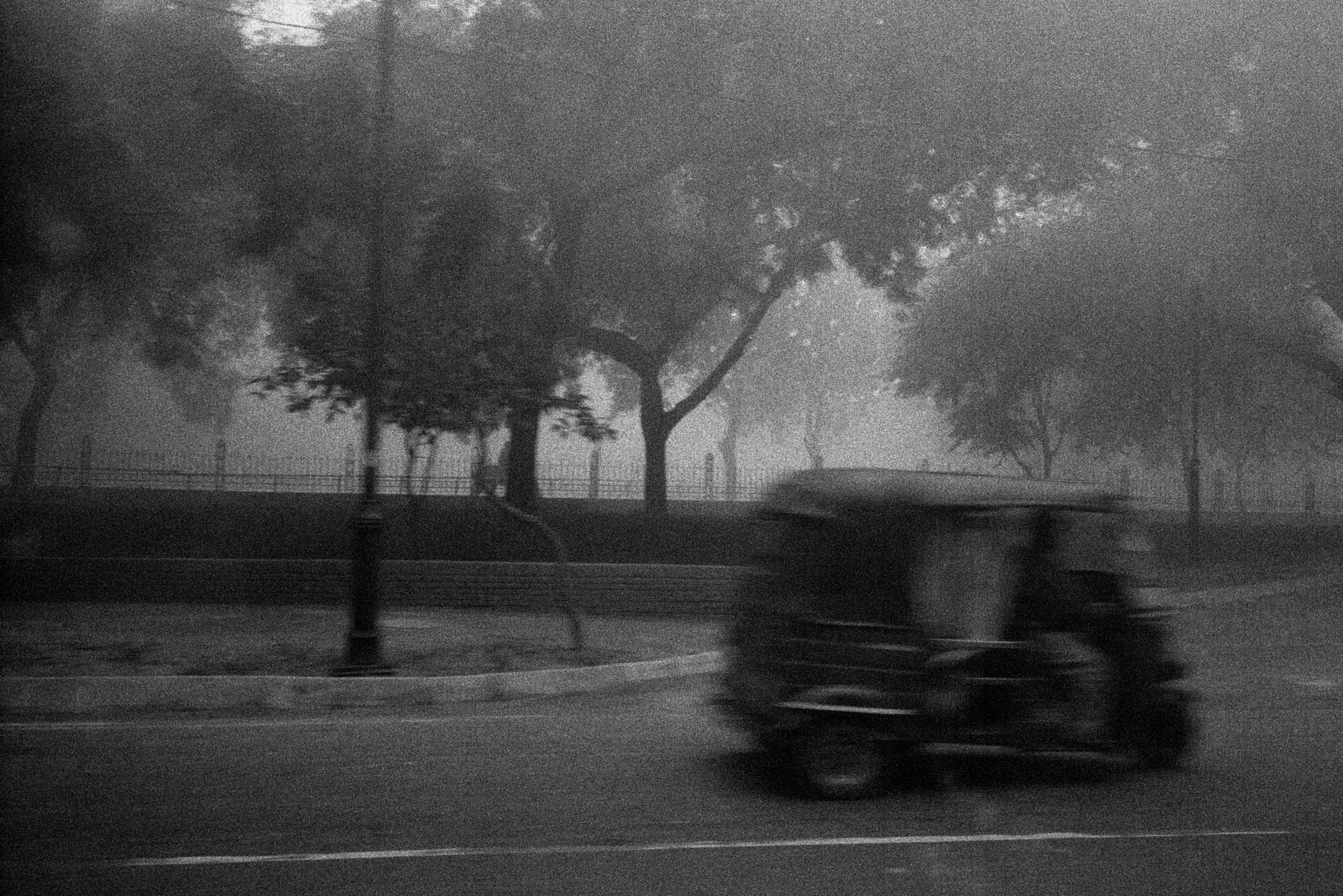 Three-Wheeler in Morning Fog, Delhi